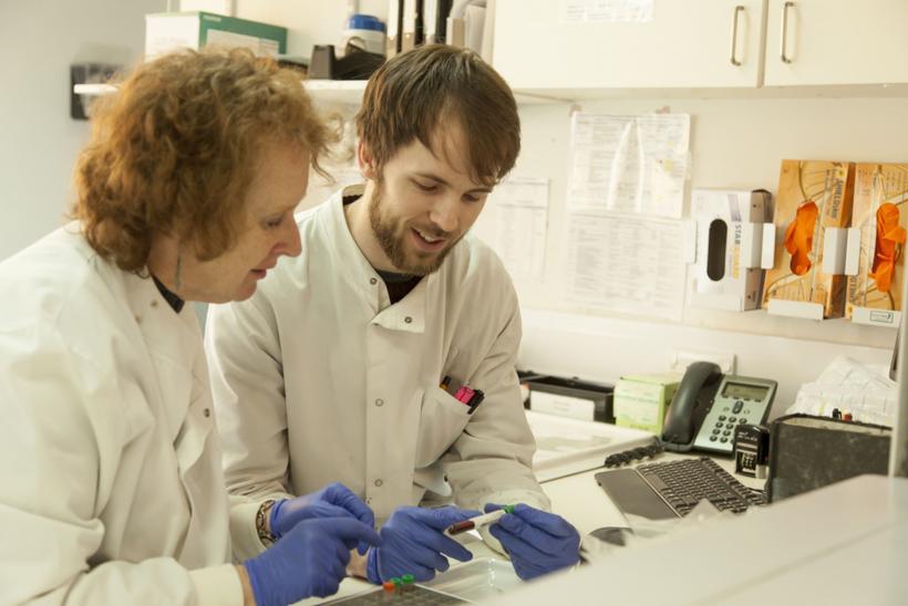 Lab technicians looking over a blood sample